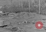 Image of Fox fur farm Alaska USA, 1929, second 7 stock footage video 65675054667