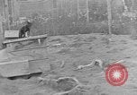 Image of Fox fur farm Alaska USA, 1929, second 9 stock footage video 65675054667