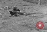 Image of Fox fur farm Alaska USA, 1929, second 16 stock footage video 65675054667
