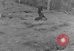 Image of Fox fur farm Alaska USA, 1929, second 17 stock footage video 65675054667