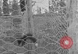 Image of Fox fur farm Alaska USA, 1929, second 32 stock footage video 65675054667