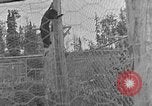 Image of Fox fur farm Alaska USA, 1929, second 33 stock footage video 65675054667