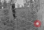 Image of Fox fur farm Alaska USA, 1929, second 35 stock footage video 65675054667
