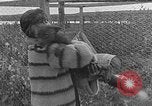 Image of Fox fur farm Alaska USA, 1929, second 40 stock footage video 65675054667