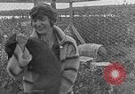 Image of Fox fur farm Alaska USA, 1929, second 41 stock footage video 65675054667