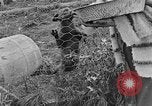 Image of Fox fur farm Alaska USA, 1929, second 44 stock footage video 65675054667