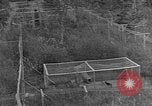 Image of Fox fur farm Alaska USA, 1929, second 46 stock footage video 65675054667