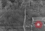 Image of Fox fur farm Alaska USA, 1929, second 47 stock footage video 65675054667