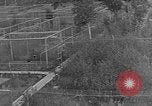 Image of Fox fur farm Alaska USA, 1929, second 48 stock footage video 65675054667