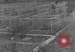 Image of Fox fur farm Alaska USA, 1929, second 49 stock footage video 65675054667