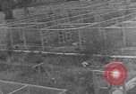 Image of Fox fur farm Alaska USA, 1929, second 50 stock footage video 65675054667