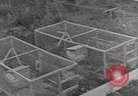 Image of Fox fur farm Alaska USA, 1929, second 53 stock footage video 65675054667
