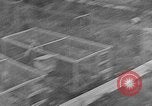 Image of Fox fur farm Alaska USA, 1929, second 54 stock footage video 65675054667