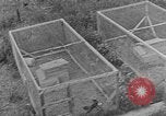 Image of Fox fur farm Alaska USA, 1929, second 55 stock footage video 65675054667