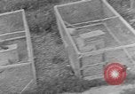 Image of Fox fur farm Alaska USA, 1929, second 56 stock footage video 65675054667