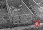 Image of Fox fur farm Alaska USA, 1929, second 58 stock footage video 65675054667