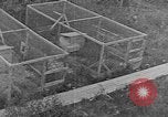 Image of Fox fur farm Alaska USA, 1929, second 60 stock footage video 65675054667