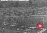 Image of Fox fur farm Alaska USA, 1929, second 61 stock footage video 65675054667