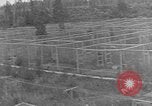 Image of Fox fur farm Alaska USA, 1929, second 62 stock footage video 65675054667