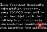 Image of reforestation program by CCC Washington DC USA, 1936, second 10 stock footage video 65675054704