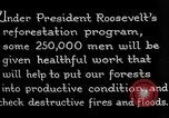 Image of reforestation program by CCC Washington DC USA, 1936, second 12 stock footage video 65675054704