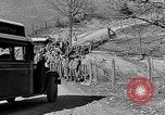 Image of reforestation program Washington DC USA, 1936, second 36 stock footage video 65675054705