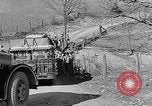 Image of reforestation program Washington DC USA, 1936, second 44 stock footage video 65675054705