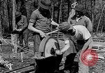 Image of reforestation program Washington DC USA, 1936, second 6 stock footage video 65675054706