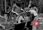 Image of reforestation program Washington DC USA, 1936, second 7 stock footage video 65675054706