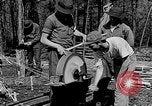 Image of reforestation program Washington DC USA, 1936, second 8 stock footage video 65675054706