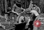 Image of reforestation program Washington DC USA, 1936, second 10 stock footage video 65675054706
