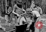 Image of reforestation program Washington DC USA, 1936, second 11 stock footage video 65675054706