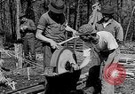 Image of reforestation program Washington DC USA, 1936, second 12 stock footage video 65675054706