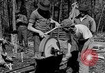 Image of reforestation program Washington DC USA, 1936, second 13 stock footage video 65675054706
