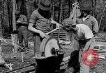 Image of reforestation program Washington DC USA, 1936, second 14 stock footage video 65675054706
