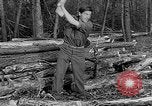 Image of reforestation program Washington DC USA, 1936, second 15 stock footage video 65675054706
