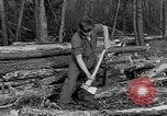 Image of reforestation program Washington DC USA, 1936, second 16 stock footage video 65675054706