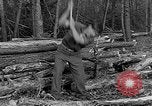 Image of reforestation program Washington DC USA, 1936, second 17 stock footage video 65675054706