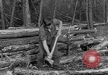 Image of reforestation program Washington DC USA, 1936, second 18 stock footage video 65675054706