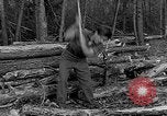 Image of reforestation program Washington DC USA, 1936, second 19 stock footage video 65675054706