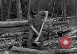 Image of reforestation program Washington DC USA, 1936, second 20 stock footage video 65675054706