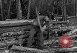 Image of reforestation program Washington DC USA, 1936, second 21 stock footage video 65675054706