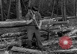 Image of reforestation program Washington DC USA, 1936, second 22 stock footage video 65675054706