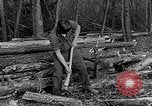Image of reforestation program Washington DC USA, 1936, second 23 stock footage video 65675054706