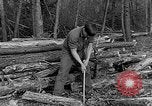 Image of reforestation program Washington DC USA, 1936, second 24 stock footage video 65675054706
