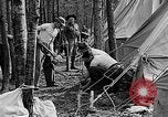 Image of reforestation program Washington DC USA, 1936, second 25 stock footage video 65675054706