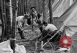 Image of reforestation program Washington DC USA, 1936, second 27 stock footage video 65675054706