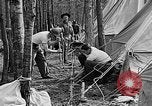 Image of reforestation program Washington DC USA, 1936, second 28 stock footage video 65675054706