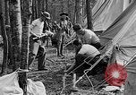 Image of reforestation program Washington DC USA, 1936, second 29 stock footage video 65675054706