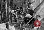 Image of reforestation program Washington DC USA, 1936, second 30 stock footage video 65675054706